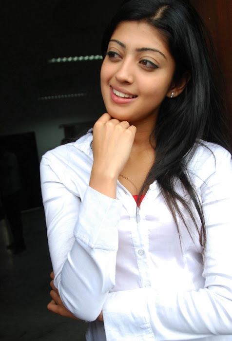 praneetha the girl in white shirtjeans actress pics